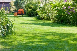 travaux jardin et paysage Mecé